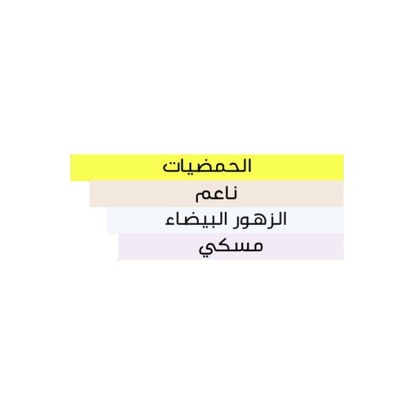 ⁦سيتي اوف ذا ستارز⁩ - الصورة ⁦5⁩