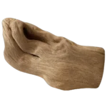 الاخشاب الطافية