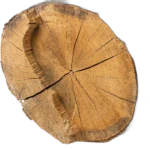الاخشاب الجافه