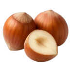 البندق