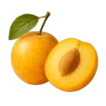 برقوث ميرابيلا