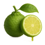 البرجموت الكالبري