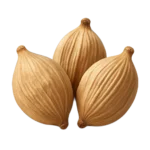 الهيل