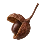 فلفل سيشوان