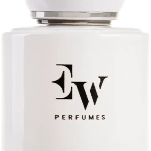 نورديك فوجير